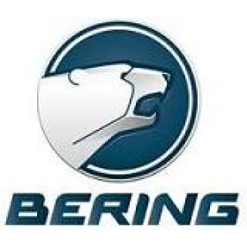 Bering
