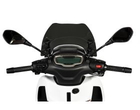 ΖΕΛΑΤΙΝΑ SCOOTER MALOSSI - 4519027 φιμέ Piaggio Beverly HPE 300 / 400 '21-'23 -  ΖΕΛΑΤΙΝΑ SCOOTER MALOSSI - 4519027 φιμέ Piaggio Beverly HPE 300 / 400 '21-'23 -