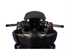 ΖΕΛΑΤΙΝΑ SCOOTER MALOSSI - 4519199B φιμέ Honda Forza 750 '21-'24 - 
