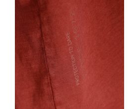 T-SHIRT DAINESE - Sfumata red pear - 